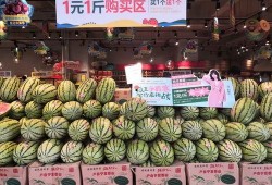 吃瓜网官网 吃瓜爆料短剧吃瓜爆料大赛每日聚集地,揭秘吃瓜爆料短剧大赛，每日热点聚集地